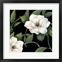 Framed 'Sweet Magnolias I' border=