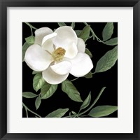 Framed 'Sweet Magnolias II' border=