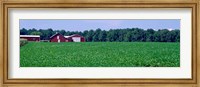 Framed Green Field with Barn, Maryland