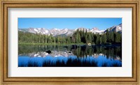 Framed Indian Peaks reflected in Red Rock Lake Boulder Colorado