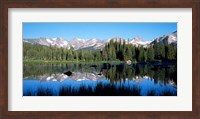 Framed Indian Peaks reflected in Red Rock Lake Boulder Colorado