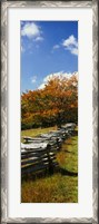 Framed Fence in a Park, Blue Ridge Parkway, Virginia