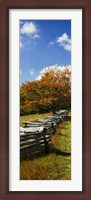 Framed Fence in a Park, Blue Ridge Parkway, Virginia