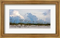 Framed Reed Grass on Beach, Great Exuma Island, Bahamas