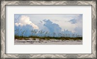 Framed Reed Grass on Beach, Great Exuma Island, Bahamas