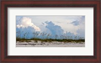 Framed Reed Grass on Beach, Great Exuma Island, Bahamas