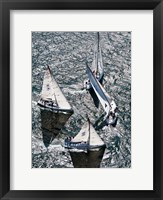 Framed Sailboats in Swan NYYC Invitational Regatta, Newport, Rhode Island