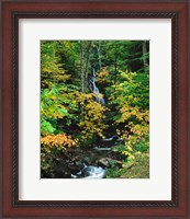 Framed Moss Glen Falls, Granville Reservation State Park, Vermont