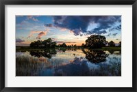 Framed Small Pond at Sunset, Venice, Florida