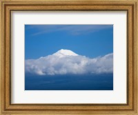 Framed Snow Covered Peak of Mt Fuji