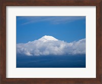 Framed Snow Covered Peak of Mt Fuji