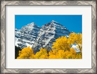 Framed Trees with Mountain Range in the Background, Maroon Creek Valley, Aspen, Colorado