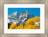 Framed Trees with Mountain Range in the Background, Maroon Creek Valley, Aspen, Colorado