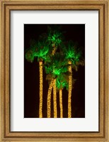 Framed Illuminated Palm Trees at Dana Point Harbor, California