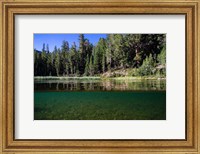 Framed Half Water Half Land, Reflection of Trees in Walker River, California
