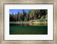 Framed Half Water Half Land, Reflection of Trees in Walker River, California