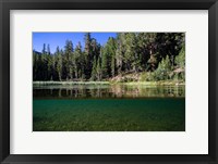 Framed Half Water Half Land, Reflection of Trees in Walker River, California