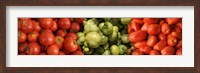 Framed Close-up of Assorted Tomatoes