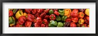 Framed Close-up of Assorted Peppers