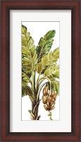 Framed Tropical Palm Paradise II
