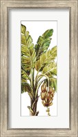 Framed Tropical Palm Paradise II