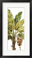 Tropical Palm Paradise II Framed Print