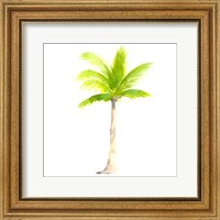 Framed Tropical Icons Palm Tree