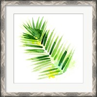 Framed Tropical Icons Palm Frond