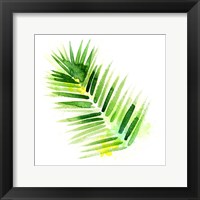 Framed Tropical Icons Palm Frond