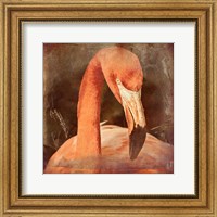 Framed Flamingo Masquerade