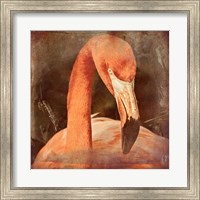 Framed Flamingo Masquerade