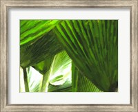 Framed Painted Ferns I