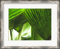 Framed Painted Ferns I