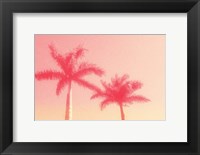 Framed Palm Trees in Pink