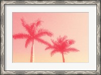 Framed Palm Trees in Pink