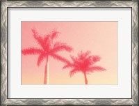 Framed Palm Trees in Pink