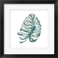 Framed Island Leaf I