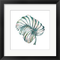 Island Leaf III Framed Print