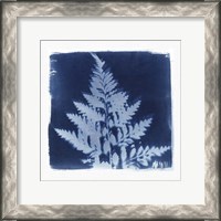 Framed Flora Cyanotype II