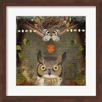 Framed Deep Forest Owl