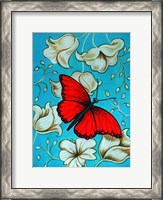 Framed Aqua-Red Butterfly