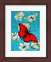 Framed Aqua-Red Butterfly