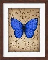 Framed Blue Butterfly