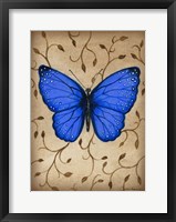 Framed Blue Butterfly