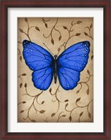 Framed Blue Butterfly