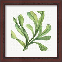 Framed Mixed Greens XIX