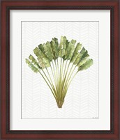 Framed Mixed Greens X