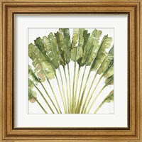 Framed Mixed Greens VIII