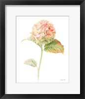Framed Floursack Florals on White V