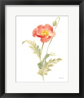 Floursack Florals on White IV Framed Print